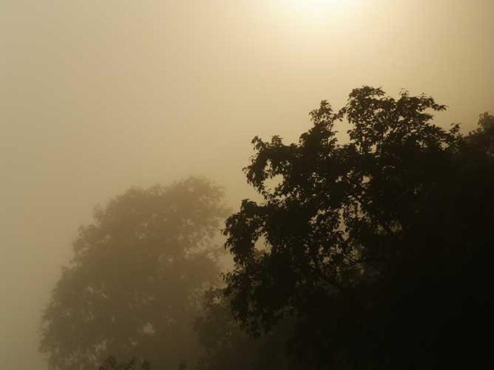 ✅ TEST: Facebook Integration Working!