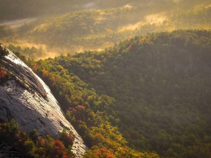 ✅ ФИНАЛЕН ТЕСТ на URL формата