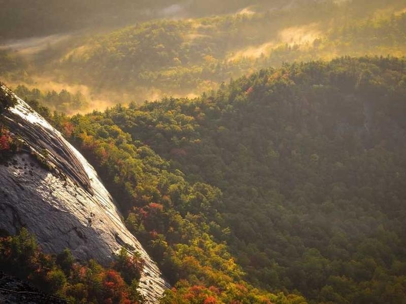 ✅ ФИНАЛЕН ТЕСТ на URL формата