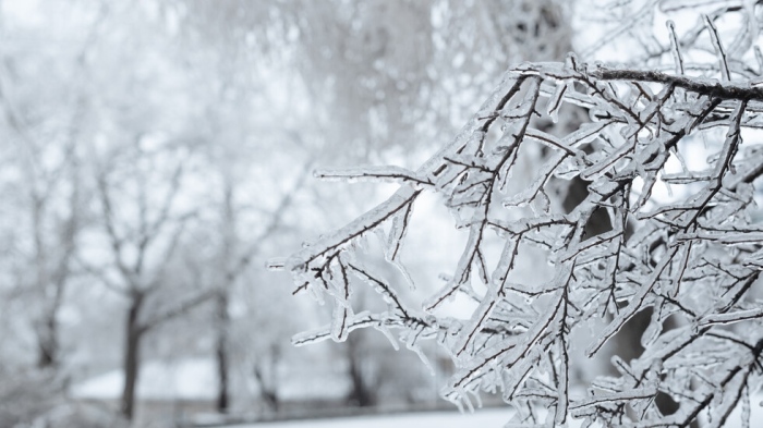 Сняг и силен студ през почивните дни, до минус 15 градуса в страната