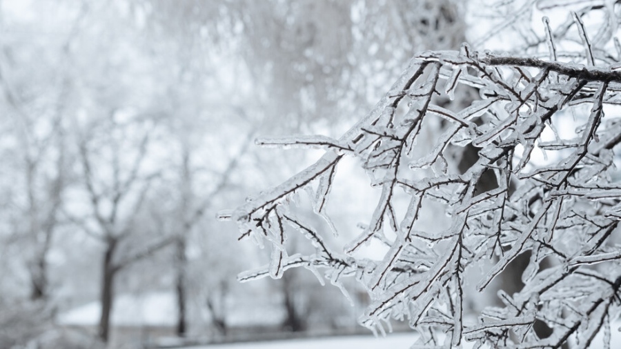 Сняг и силен студ през почивните дни, до минус 15 градуса в страната
