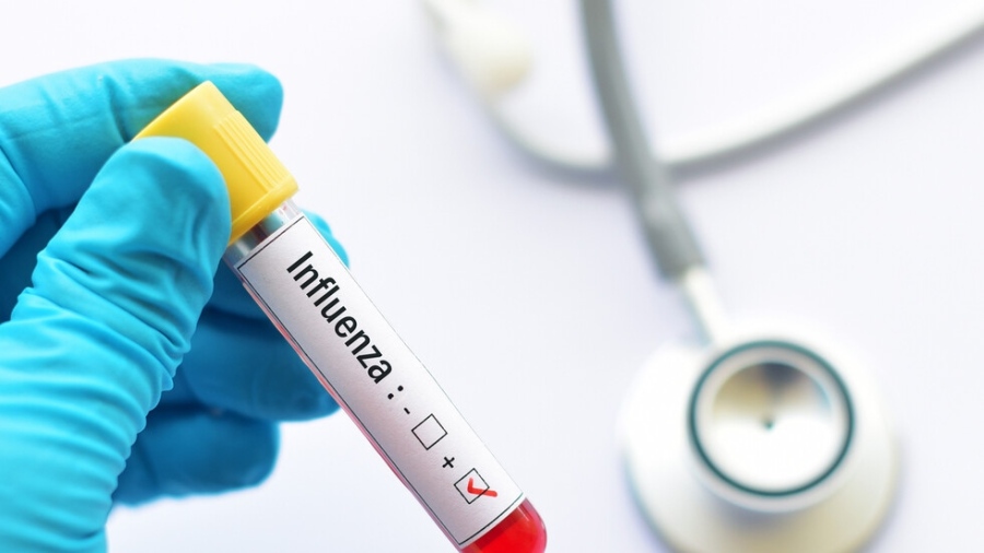 Пловдив въвежда грипна епидемия и онлайн обучение за учениците от сряда града