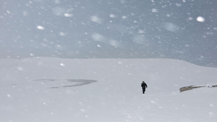 Силни снеговалежи взеха 30 жертви в Япония, армията помага в Аомори префектура