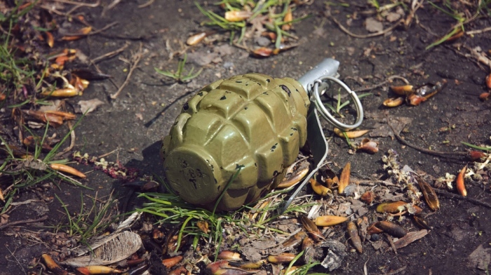 Арест след взрив с граната в дома на Здравко Чолич в Белград