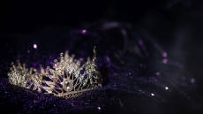 Четири европейски държави се готвят за нови кралици