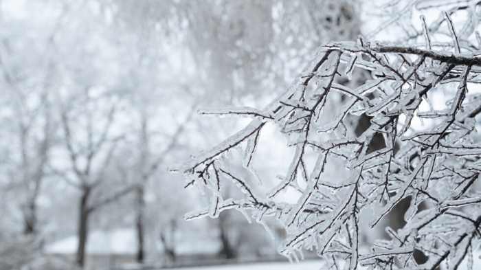 Зимата се връща със сняг и силен вятър