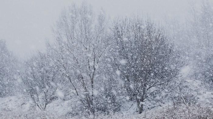 Сняг и виелици обхващат страната в събота