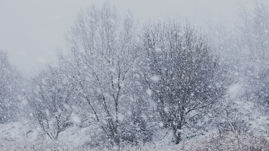 Сняг и виелици обхващат страната в събота