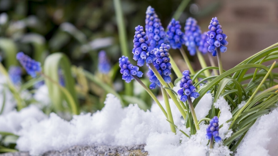 Слънце и мъгли в началото на март, слаб дъжд на места