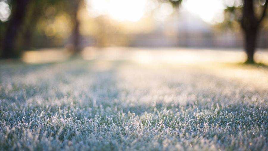 Топло и слънчево време през следващите 10 дни
