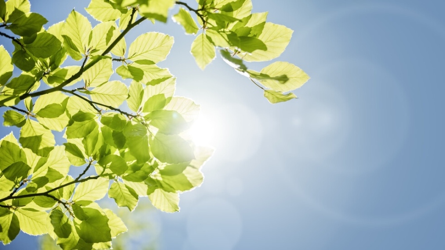 Слънчево време с температури до 18 градуса в сряда