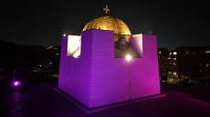 В лилаво осветяват знакови сгради за Деня на епилепсията