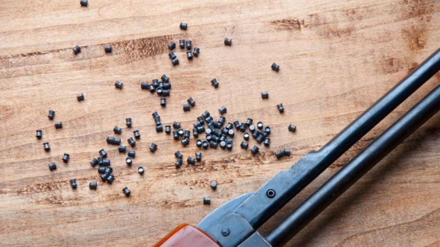 Полицията задържа мъж за стрелба от тераса в Пловдив