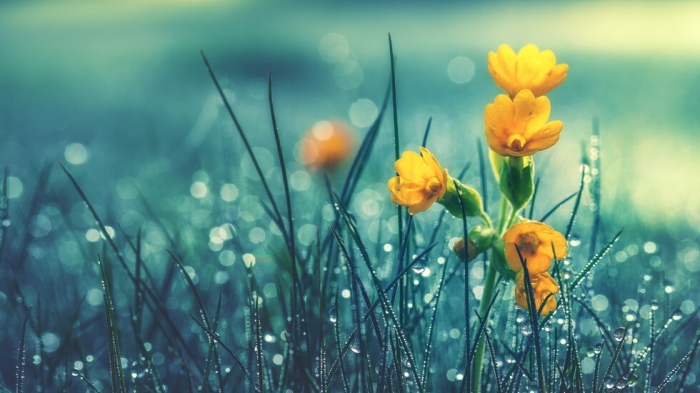 Дъжд и гръмотевици до Цветница, риск от наводнения