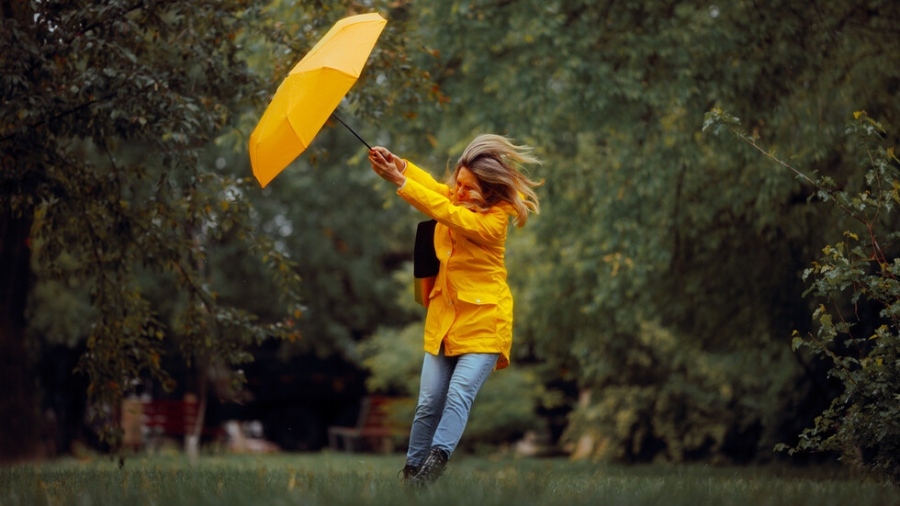 Жълт код за силен вятър в цялата страна