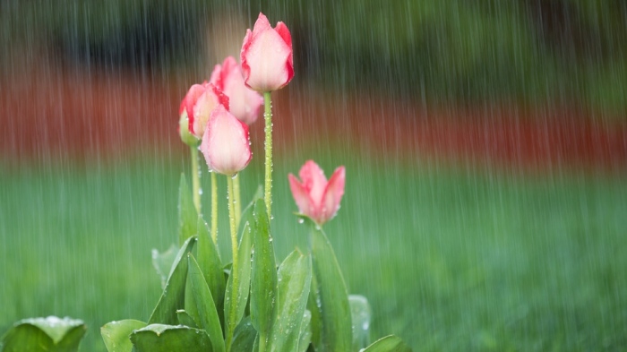 Облаци и кратки валежи в деня за размисъл