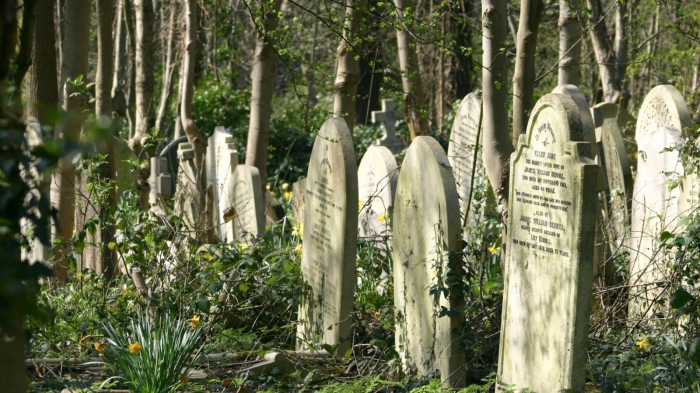 Откриха телата на 50 бебета в гробище в Тринидад