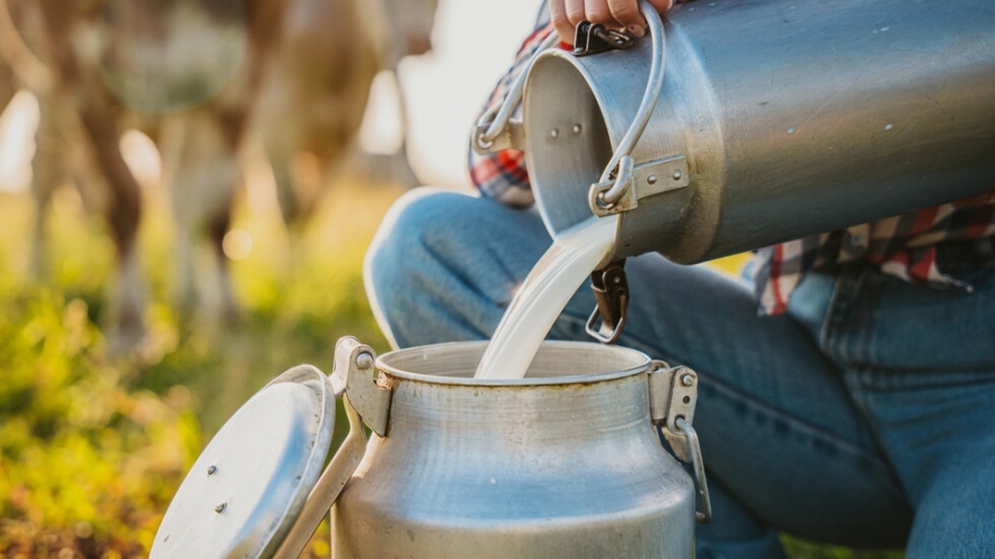 БАБХ проверява всяка пратка вносно сурово мляко