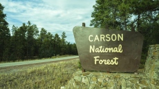 Откриха тялото на изчезнала служителка от Лос Аламос с огнестрелна рана в Ню Мексико